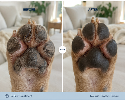 RePaw Protection Balm